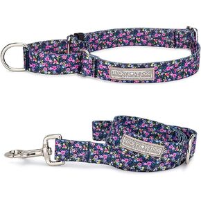 Lucky Love Dog Martingale Leash Collar Set, Premium No Slip Collar, Great for Whippets, Greyhounds, and More (Primrose, Small)