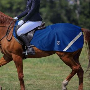 Harrison Howard Climax Horse Sheet مقاومة للماء/بطانية بطانية بطانية مع Hi-Vis تتميز بأمان ليلة رائعة على الطريق الأزرق الحريري L.