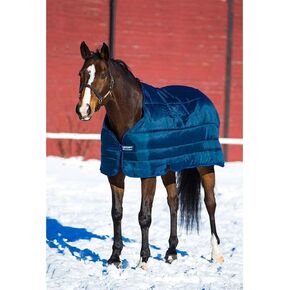 Horseware Blanket Liner 300g in Saudi Arabia