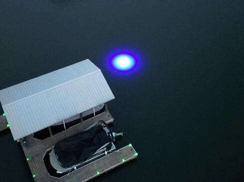 Sea Floor Dock Light- 50 ft Waterproof Cord, Bright LED Green Glow, Perfect for Night Fishing, Piers & Waterfronts (Green, SF200) in Saudi Arabia