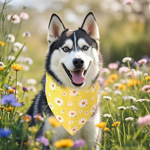 3pcs Spring Summer Dog Bandanas Dropible Dog Dick Triangle Triangle Bandanas for Medium Carge Puppy Pet Decorations in Kuwait