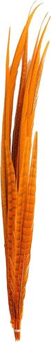 Zucker Feather Products Bleach/Natural Pheasant Feather Tails, 16 by 30-Inch, Dyed Orange in Saudi Arabia
