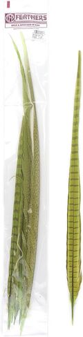 Zucker Feather Products Bleach/Natural Pheasant Feather Tails, 16 by 30-Inch, Dyed Orange in Saudi Arabia