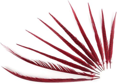 Zucker Feather Products Bleach/Natural Pheasant Feather Tails, 16 by 30-Inch, Dyed Orange in Saudi Arabia