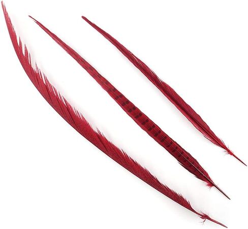 Zucker Feather Products Bleach/Natural Pheasant Feather Tails, 16 by 30-Inch, Dyed Orange in Saudi Arabia