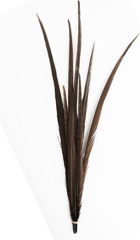 Zucker Feather Products Bleach/Natural Pheasant Feather Tails, 16 by 30-Inch, Dyed Orange in Saudi Arabia