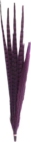 Zucker Feather Products Bleach/Natural Pheasant Feather Tails, 16 by 30-Inch, Dyed Orange in Saudi Arabia