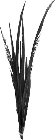 Zucker Feather Products Bleach/Natural Pheasant Feather Tails, 16 by 30-Inch, Dyed Orange in Saudi Arabia