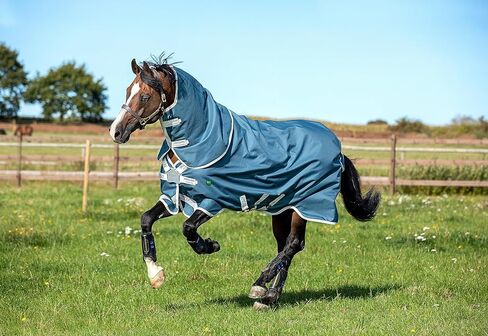 Horseware Ireland Amigo Ame 12 Plus Enshout Lite Teal/Gray 81 in Saudi Arabia