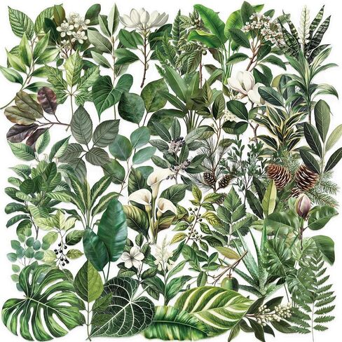 50 Pieces Plants Stickers for Scrapbooking, Black-and-White Flower Waterproof Self-Adhesive Scrapbooking Stickers Transparent PET Deals for Supplies Journal Card Making Letters DIY (BWF) in Saudi Arabia