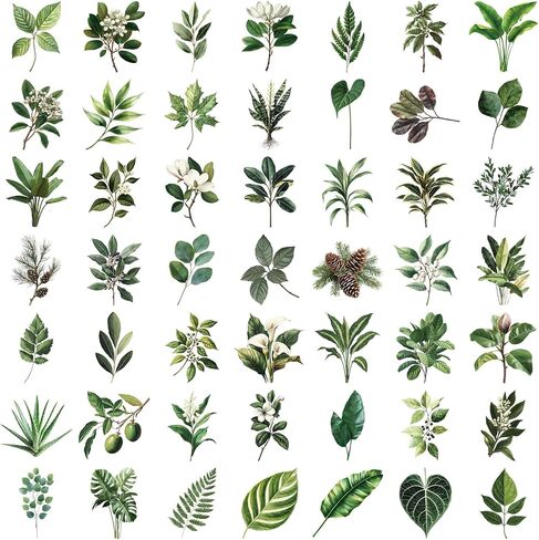 50 Pieces Plants Stickers for Scrapbooking, Black-and-White Flower Waterproof Self-Adhesive Scrapbooking Stickers Transparent PET Deals for Supplies Journal Card Making Letters DIY (BWF) in Saudi Arabia