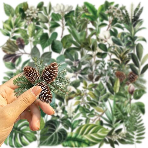 50 Pieces Plants Stickers for Scrapbooking, Black-and-White Flower Waterproof Self-Adhesive Scrapbooking Stickers Transparent PET Deals for Supplies Journal Card Making Letters DIY (BWF) in Saudi Arabia
