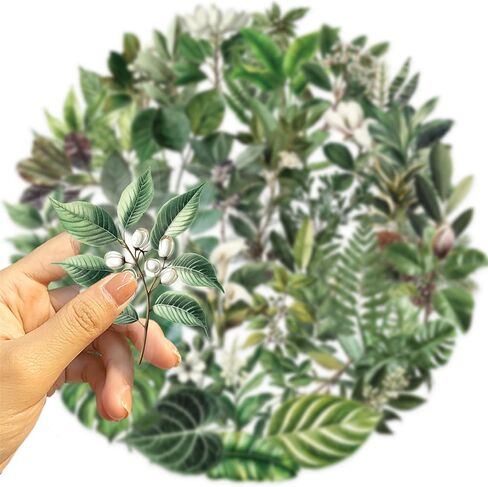 50 Pieces Plants Stickers for Scrapbooking, Black-and-White Flower Waterproof Self-Adhesive Scrapbooking Stickers Transparent PET Deals for Supplies Journal Card Making Letters DIY (BWF) in Saudi Arabia