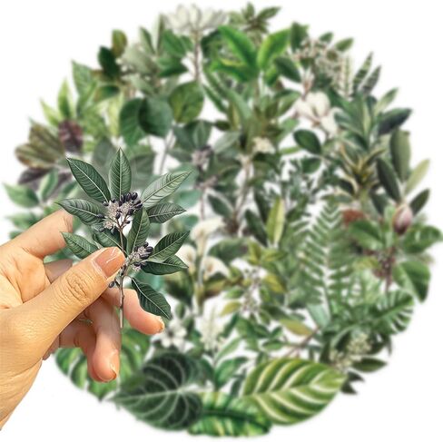 50 Pieces Plants Stickers for Scrapbooking, Black-and-White Flower Waterproof Self-Adhesive Scrapbooking Stickers Transparent PET Deals for Supplies Journal Card Making Letters DIY (BWF) in Saudi Arabia