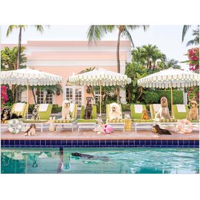 Galison Gray Malin Palm Beach – 1000 Piece Book Box Puzzle with Glamorous Palm Beach Dogs Photography Packaged in Magnetic Keepsake Book Sized Box