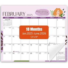 2025 تقويم الثلاجة المغناطيسية - 18 شهرًا ، يناير 2015 إلى يونيو 2026 ، 12 "10" ، وسادة المسيل للدموع ، مثالية للتخطيط