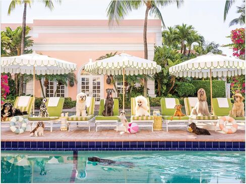 Galison Gray Malin Palm Beach – 1000 Piece Book Box Puzzle with Glamorous Palm Beach Dogs Photography Packaged in Magnetic Keepsake Book Sized Box in Saudi Arabia