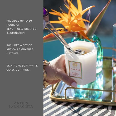 Antica Farmacista Scented Candle, Cask, 9 Ounce in Saudi Arabia