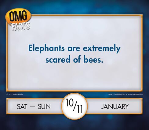 OMG Facts 2026 Boxed Daily Desk Calendar: Hard to Believe but True in Saudi Arabia