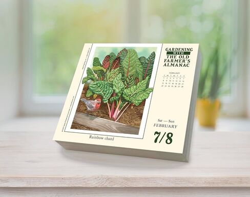 OMG Facts 2026 Boxed Daily Desk Calendar: Hard to Believe but True in Saudi Arabia