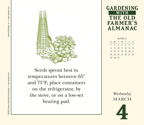 OMG Facts 2026 Boxed Daily Desk Calendar: Hard to Believe but True in Saudi Arabia