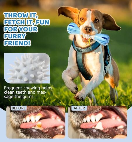 Durable Dog Chew Toy, Natural Rubber Treat Dispensing Puzzle Toy for Small & Medium Breeds – Interactive Teething, Training, and Dental Care Toy to Keep Dogs Engaged & Relieve Boredom (Blue) in Kuwait