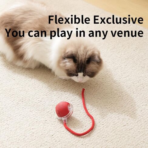 Interactive Cat Toys Ball for Indoor Cats Fast Rolling on Carpet, Three Movement Modes,Automatically Avoiding Obstacles & Motion Activate Cat Toys (Red) in Saudi Arabia