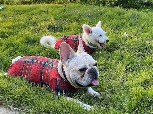 Red Plaid Dog Pajamas, Soft Fleece Warm Pjs Cold Weather Coat, 4 Legged Pet Clothes Apparel for Small Medium Dogs Boy Girl (Red, M) in Saudi Arabia