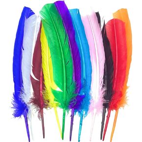 GOODIY Burgundy Turkey Feathers, 22 Pcs Natural Feathers 10-12 inch (25-30cm) Turkey Feather for Crafts DIY Wedding Home Party Mardi Gras Decorations (Burgundy) in Kuwait