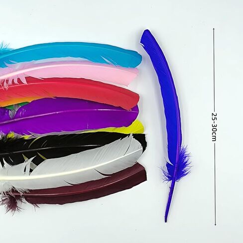 GOODIY Burgundy Turkey Feathers, 22 Pcs Natural Feathers 10-12 inch (25-30cm) Turkey Feather for Crafts DIY Wedding Home Party Mardi Gras Decorations (Burgundy) in Kuwait