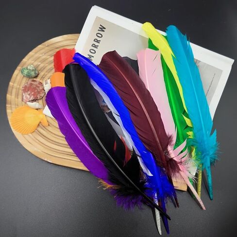 GOODIY Burgundy Turkey Feathers, 22 Pcs Natural Feathers 10-12 inch (25-30cm) Turkey Feather for Crafts DIY Wedding Home Party Mardi Gras Decorations (Burgundy) in Kuwait