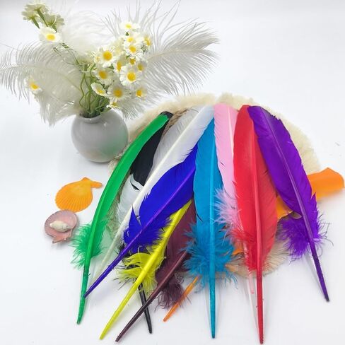GOODIY Burgundy Turkey Feathers, 22 Pcs Natural Feathers 10-12 inch (25-30cm) Turkey Feather for Crafts DIY Wedding Home Party Mardi Gras Decorations (Burgundy) in Kuwait