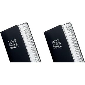 Tabbies Mini Silver-Edged Bible Indexing Tabs, Old & New Testament, 80 Tabs Including 64 Books & 16 (Pack of 2)
