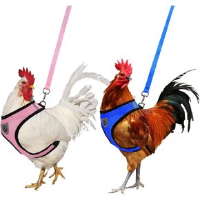Adjustable Chicken Harness with Leash Small Pet Harness and Leash for Duck Hen Goose Walking, Blue (S)