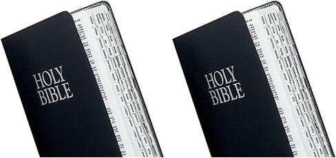 Tabbies Mini Silver-Edged Bible Indexing Tabs, Old & New Testament, 80 Tabs Including 64 Books & 16 (Pack of 2) in Saudi Arabia