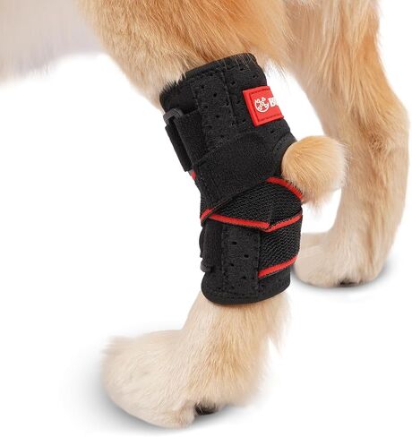 Dog Leg Brace for Rear Hock Built-In Metal Spring Strips Dog Hock Brace Rear Leg Support for Sprains, Arthritis, Ligament Injuries, Post-Op Recovery with Adjustable Compression Straps (Medium) in Saudi Arabia