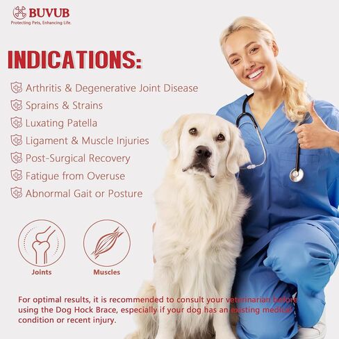 Dog Leg Brace for Rear Hock Built-In Metal Spring Strips Dog Hock Brace Rear Leg Support for Sprains, Arthritis, Ligament Injuries, Post-Op Recovery with Adjustable Compression Straps (Medium) in Saudi Arabia