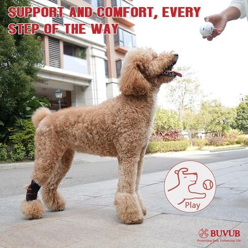 Dog Leg Brace for Rear Hock Built-In Metal Spring Strips Dog Hock Brace Rear Leg Support for Sprains, Arthritis, Ligament Injuries, Post-Op Recovery with Adjustable Compression Straps (Medium) in Saudi Arabia