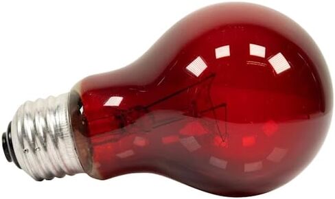 Zoo Med Nightlight Red Reptile Bulb, 40 Watts in Kuwait