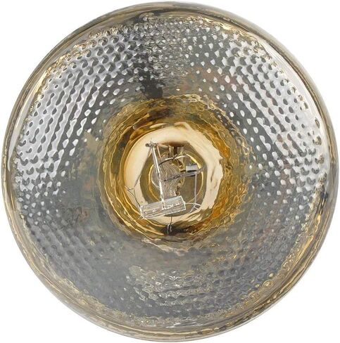 LUCKY HERP Reptile UVA UVB Mercury Vapor Bulb Lamp,Screw Thread,PAR38,100 Watt (Coated) in Kuwait