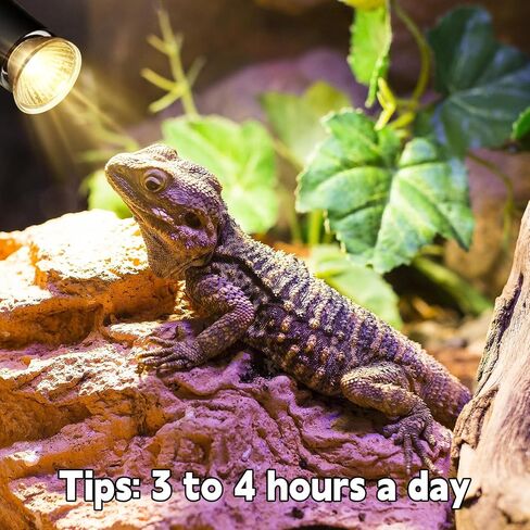 Reptile Heat Lamp, UVA UVB Heat Lamp Bulbs, E26 Turtle Heat Lamp Blubs 50W 4Pack, Basking Light for Bearded Dragon, Lizard, Snake and Frog in Saudi Arabia