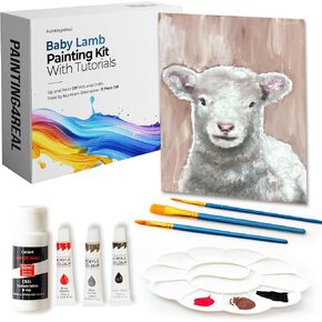 Painting4 real diy مجموعات للبالغين والأطفال مع دروس بالفيديو: تعلم كيفية رسم لحم البض