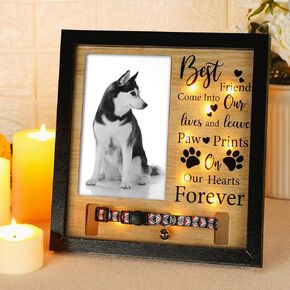 Thyle 9 × 9 بوصة إطار صورة تذكاري مع LED مع LED Dog Memory Gift Cog Twlar Memorial Frame for Volet of Dog Symply Gift for Defercyprance Vired Fose of Dogs Cats