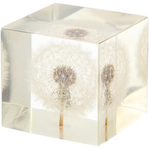 Alipis Cube Desktop Decoration Creative Dandelion - شفافة حلية لمكتب المنزل