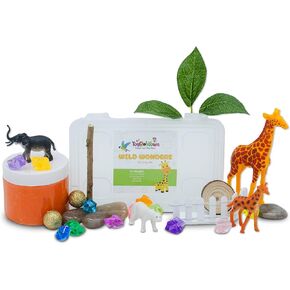 Wild Wonders Mini Secnsory Kit ، Safari Animals Play ، التنمية والمهارات الحركية الدقيقة ، الأنشطة اللمسية لـ ANA GO ، ألعاب Safari Sevari Sensory لمرحلة ما قبل المدرسة والأطفال الذين تتراوح أعمارهم بين 4،5،6،7،7