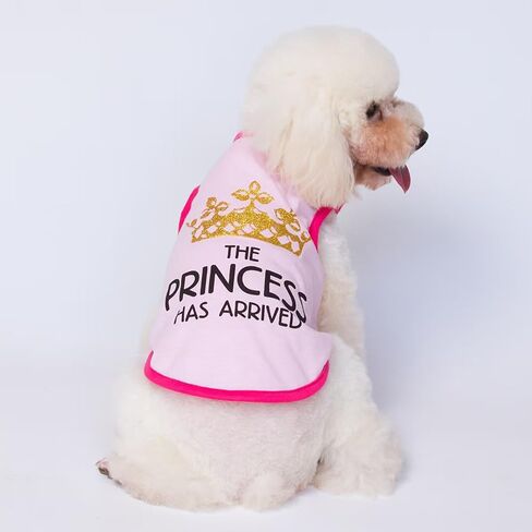 Fun Tshirt for Small Dogs Cats - Lightweight Breathable Anti-Fade Soft Non-Irritating Pet Shirts with Flash Crown Design for Outdoor Adventures (Red, M) in Kuwait