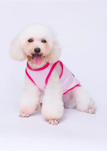 Fun Tshirt for Small Dogs Cats - Lightweight Breathable Anti-Fade Soft Non-Irritating Pet Shirts with Flash Crown Design for Outdoor Adventures (Red, M) in Kuwait