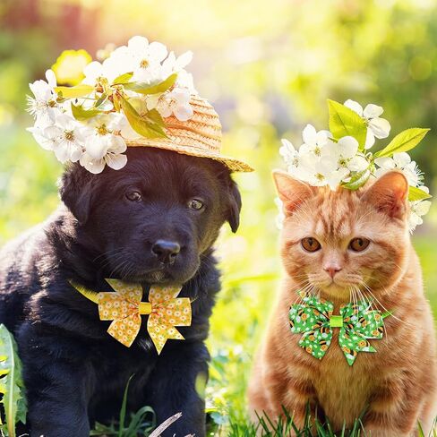 Talltalk 40 Pcs Dog Bow Ties Spring Tie Dye Summer Collar Bows for Dogs Hawaii Puppy Bowties with Plastic Buckle Adjustable Grooming Collar for Small Medium Cat Pet(Summer) in Kuwait