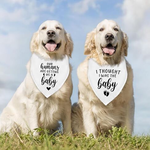Dog Bandana Agrencancing Adpressing Apparel and Associory Brumans لدينا يحصلون علينا طفل in Saudi Arabia
