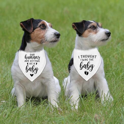 Dog Bandana Agrencancing Adpressing Apparel and Associory Brumans لدينا يحصلون علينا طفل in Saudi Arabia